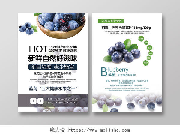 小清新新鲜蓝莓水果活动宣传单